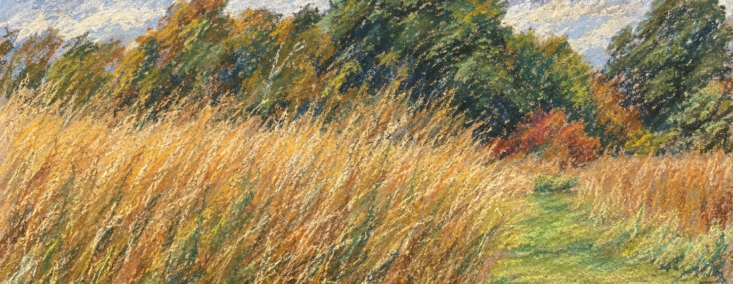 Landscape Art for All Ages