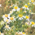 Landscape Art for All Ages - logo